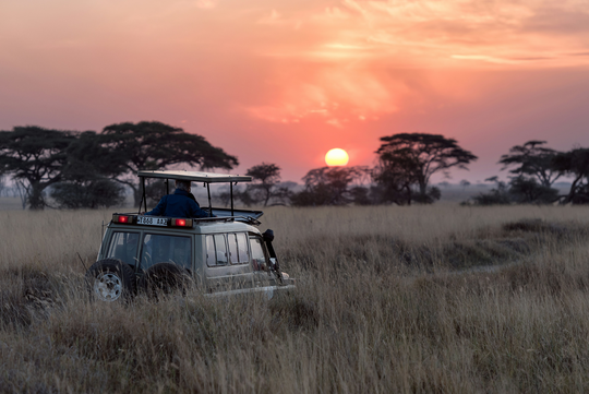 A tourist vehicle on Safari in a game park